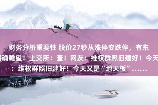 财务分析重要性 股价27秒从涨停变跌停，有东谈主竟提前40分钟精确瞻望！上交所：查！网友：维权群照旧建好！今天又是“地天板”……