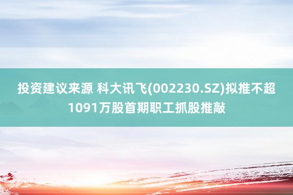 投资建议来源 科大讯飞(002230.SZ)拟推不超1091万股首期职工抓股推敲