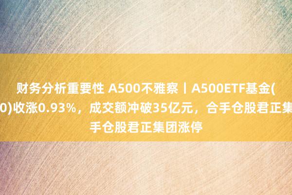 财务分析重要性 A500不雅察丨A500ETF基金(512050)收涨0.93%，成交额冲破35亿元，合手仓股君正集团涨停