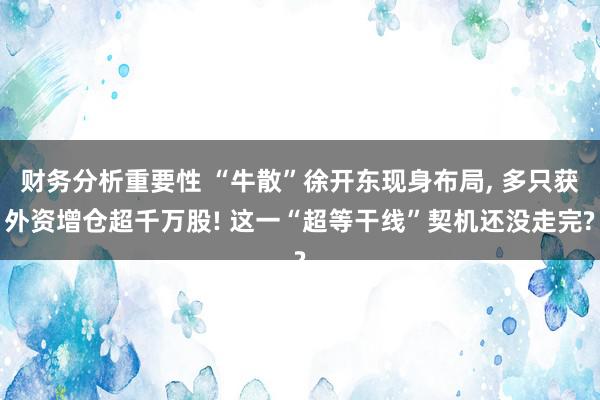 财务分析重要性 “牛散”徐开东现身布局, 多只获外资增仓超千万股! 这一“超等干线”契机还没走完?