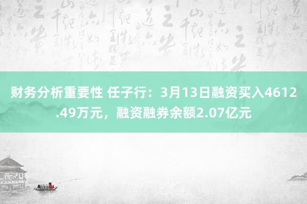 财务分析重要性 任子行：3月13日融资买入4612.49万元，融资融券余额2.07亿元