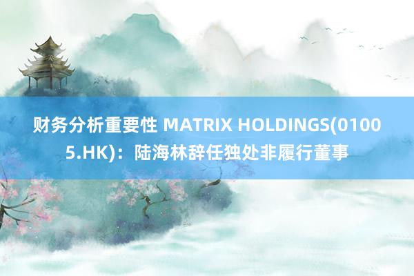 财务分析重要性 MATRIX HOLDINGS(01005.HK)：陆海林辞任独处非履行董事